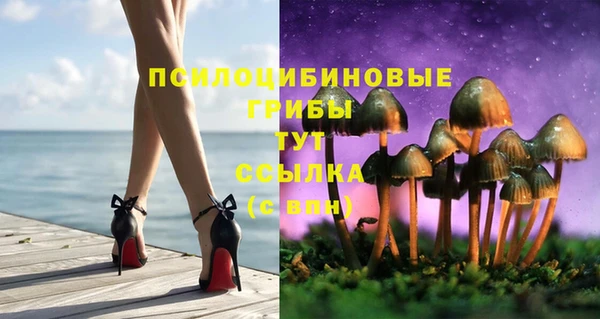 спиды Алзамай