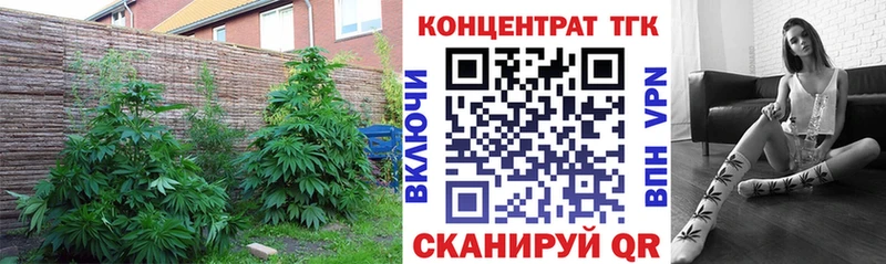 Дистиллят ТГК вейп Киселёвск