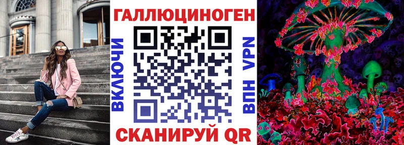 Галлюциногенные грибы Psilocybine cubensis  MEGA ТОР  Киселёвск  где можно купить наркотик 